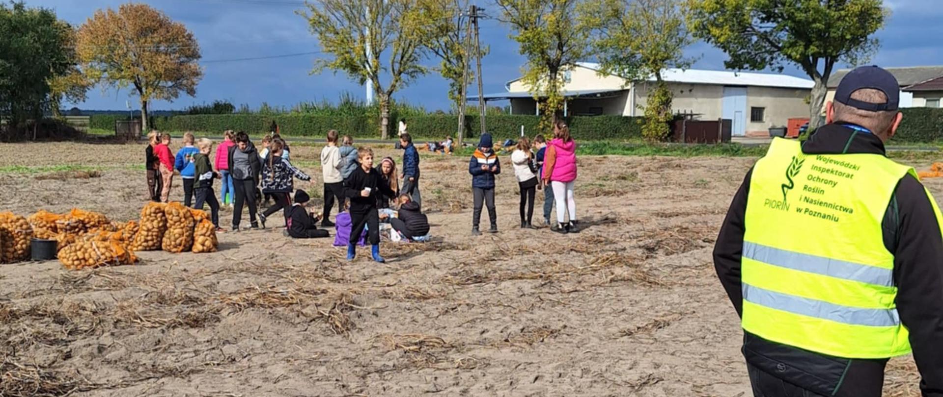 Wykopki z udziałem dzieci ze Szkoły Podstawowej w Lesznie