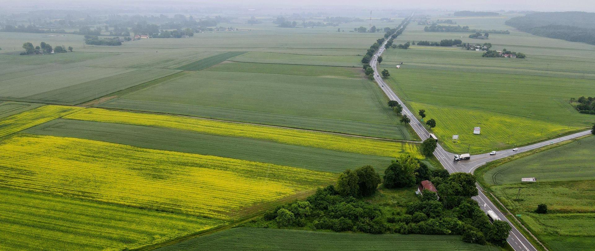 DK12 w okolicy planowanego węzła Siedliszcze