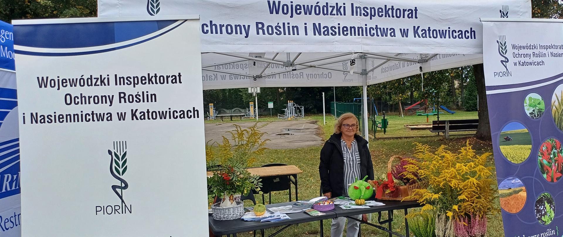 Dożynki w Wojkowicach Kościelnych - zdjęcie przedstawia kobietę, która stoi na stoisku Inspektoratu, w plenerze