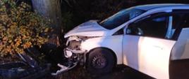 Widać biały samochód, który uderzył w drzewo, uszkodzony przód, otwarte lewe drzwi, jest ciemno