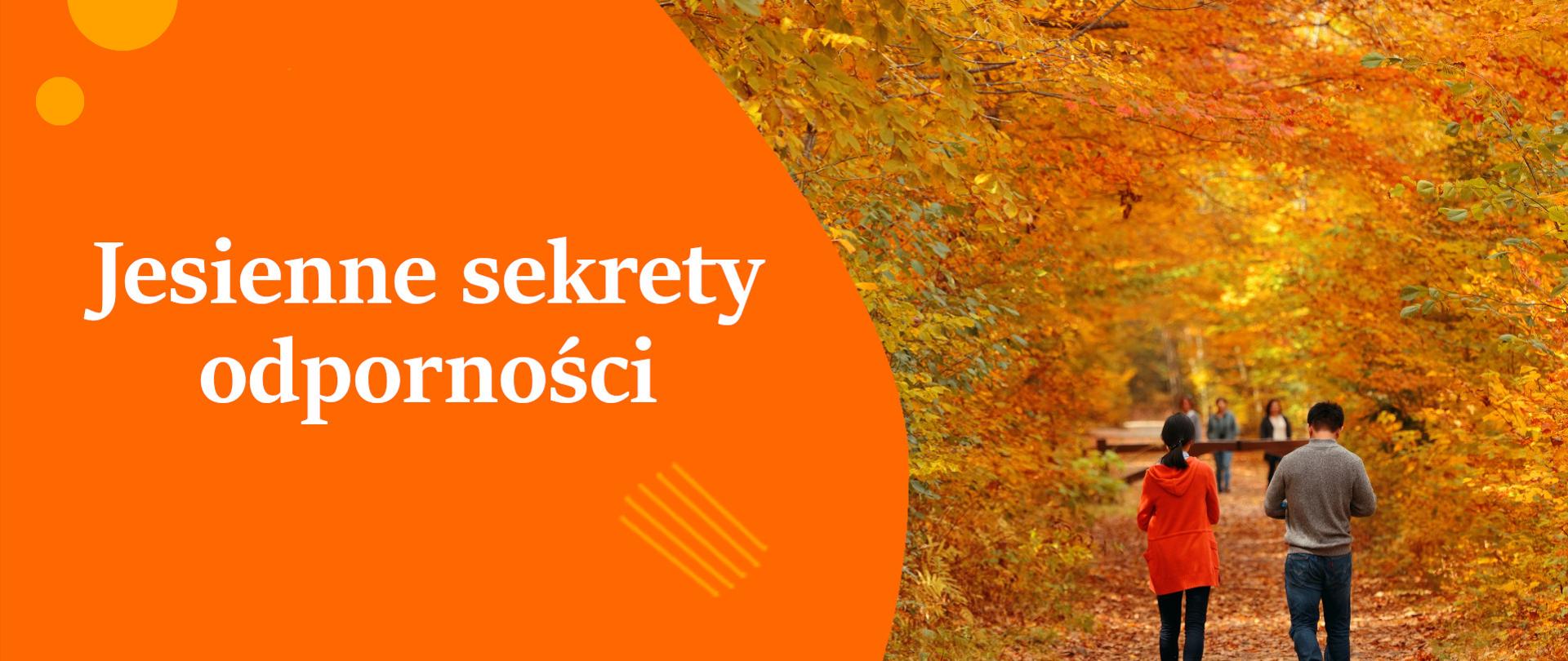 Baner odporność na jesień