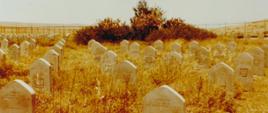 Khanaqin - cmentarz