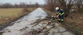 Na zdjęciu strażak tnie powalone drzewo na mniejsze kawałki celem usunięcia z jezdni. 