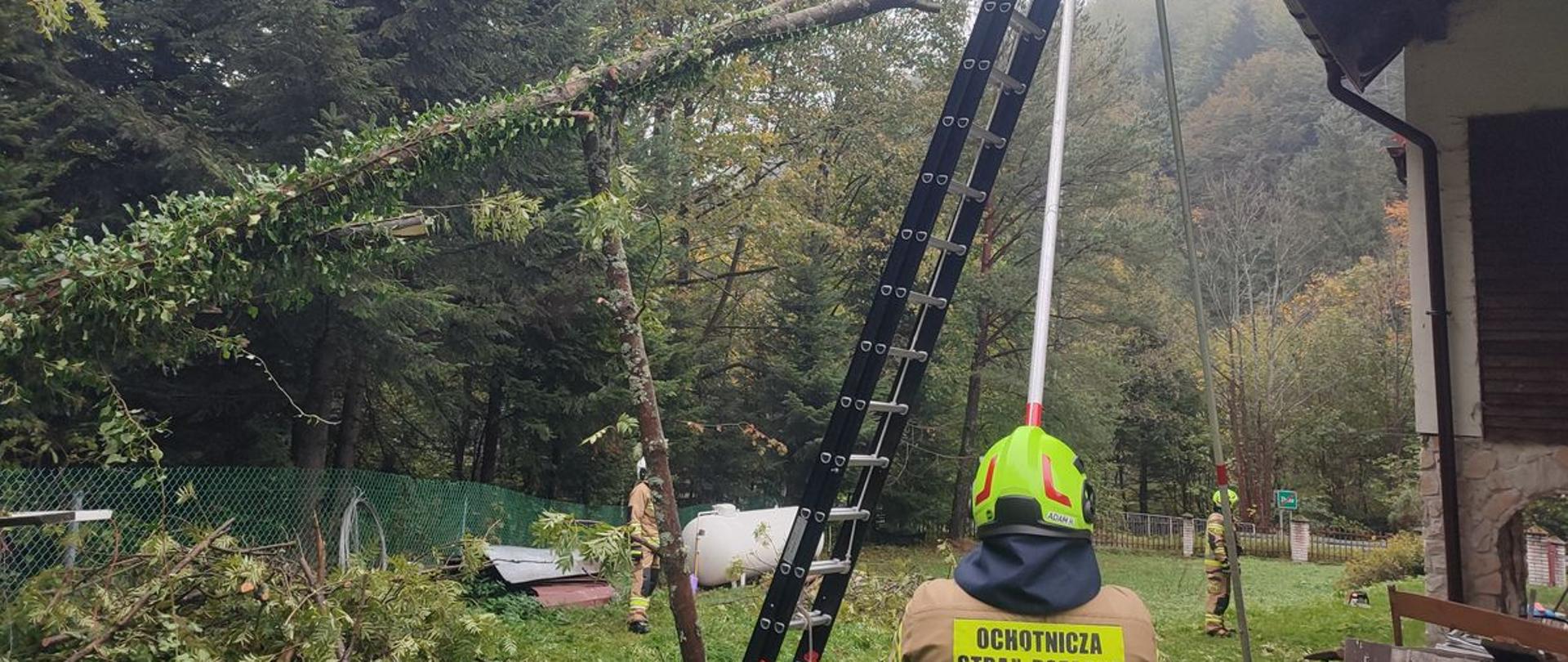 Strażacy usuwają drzewo oparte o budynek