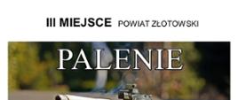 III miejsce
Praca przedstawia model czołgu, na lufie którego umieszczono palącego się papierosa. Na górnej i dolnej krawędzi znajduje się duży napis „Palenie Zabija!”.
