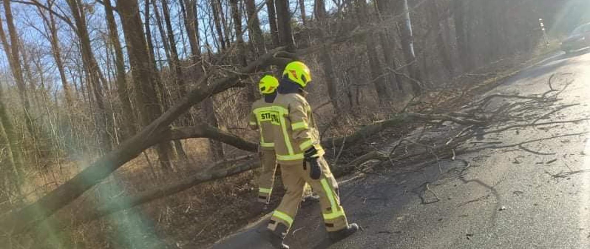 Strażacy usuwają powalone drzewo z jezdni