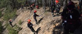 Zdjęcie przedstawia funkcjonariuszy podczas szkolenia z ratownictwa wysokościowego