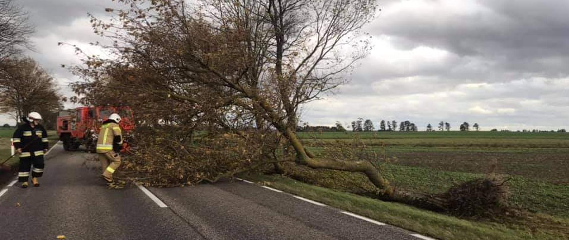 Strażacy usuwają powalone drzewo.