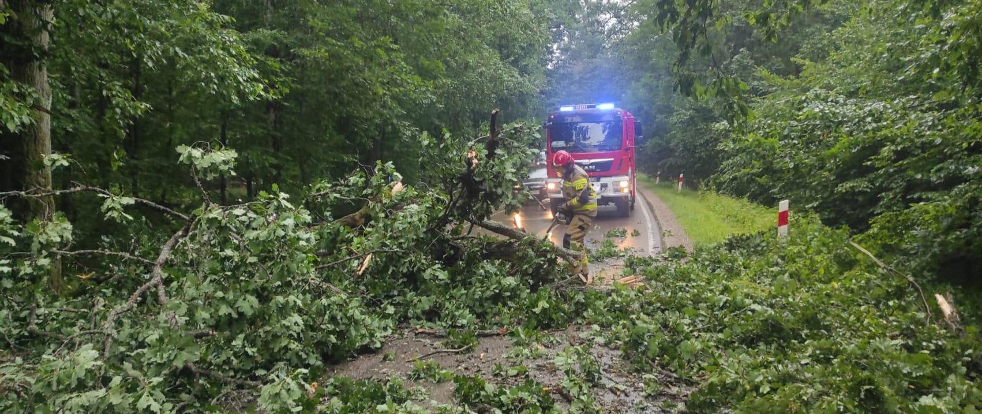Strażacy usuwają skutki burz.
