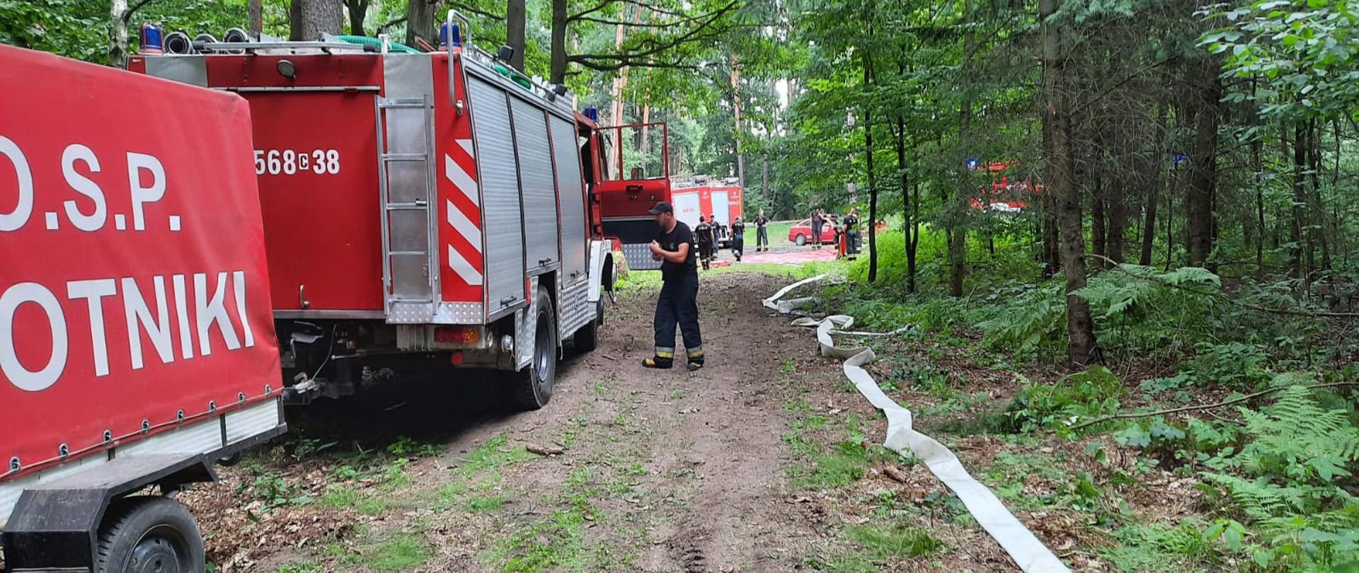 Budowa magistrali wężowej.