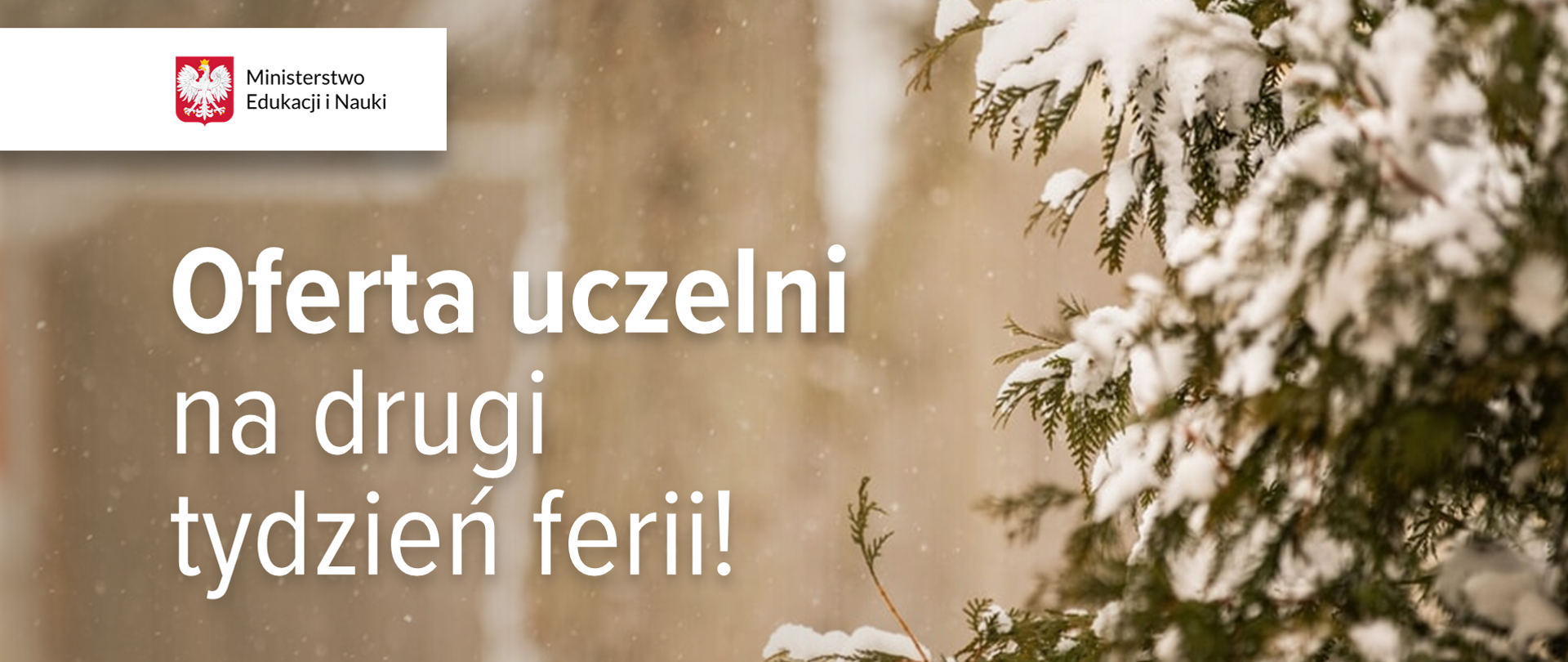 Zimowe zdjęcie fragmentu ośnieżonego drzewa iglastego, a obok logo Ministerstwa Edukacji i Nauki oraz napis "Oferta uczelni na drugi tydzień ferii!"