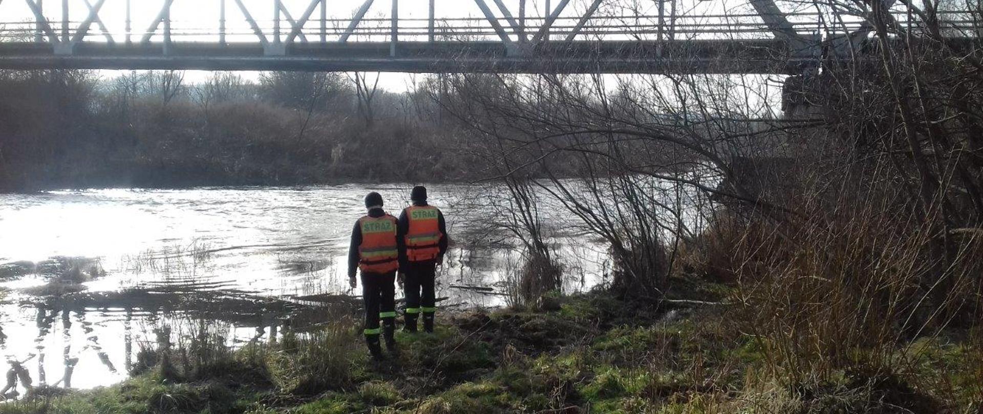 Dwóch strażaków nad rzeką w oddali most wokół pełno traw.