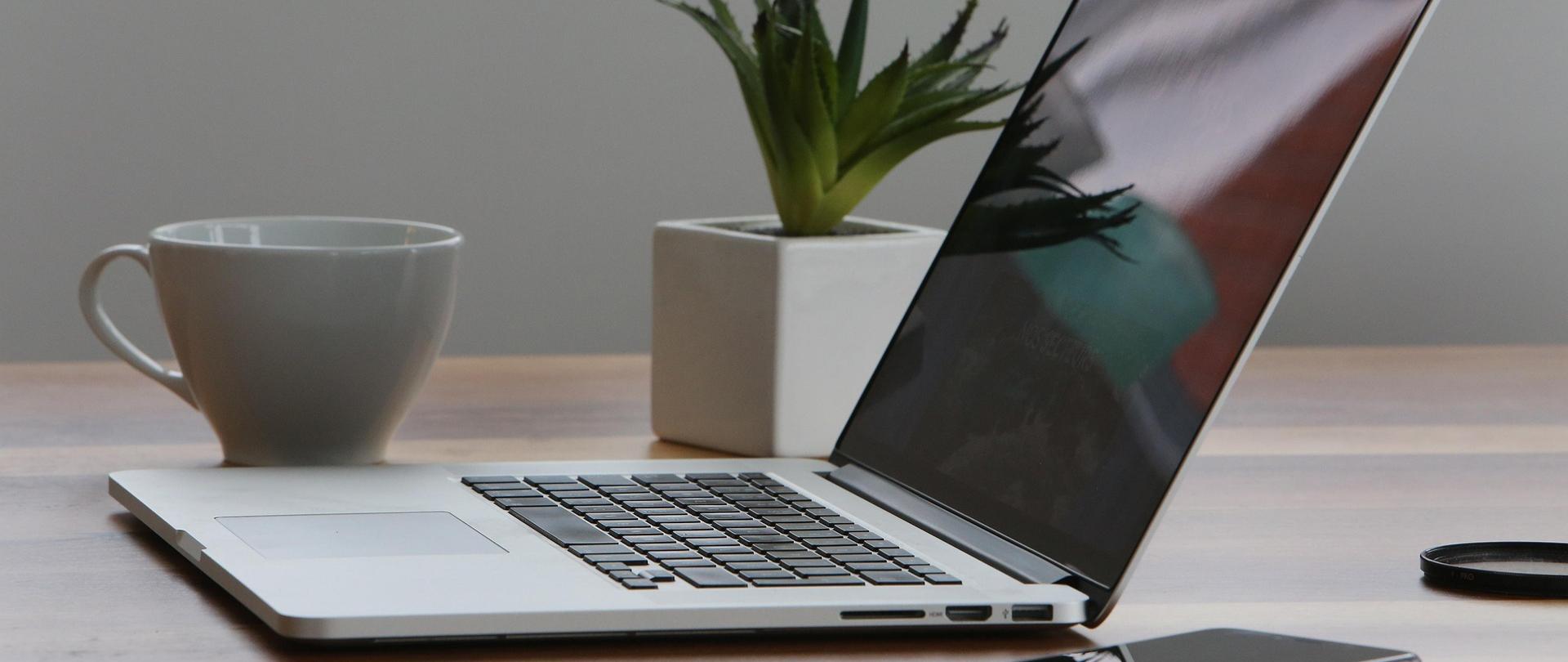 Na biurku laptop. Obok laptopa stoi filiżanka i kwiatek w doniczce.