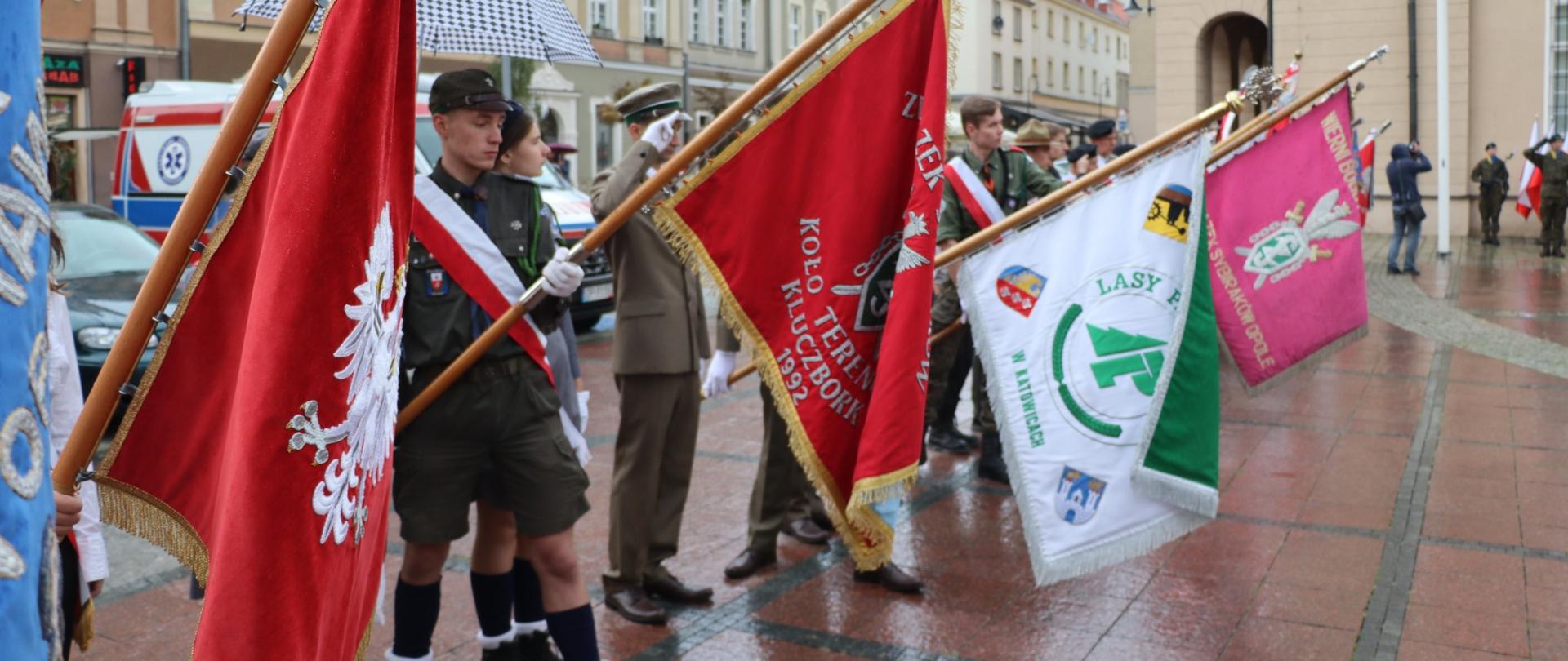 Sztandar z orłem, żołnierz i sztandary w tle