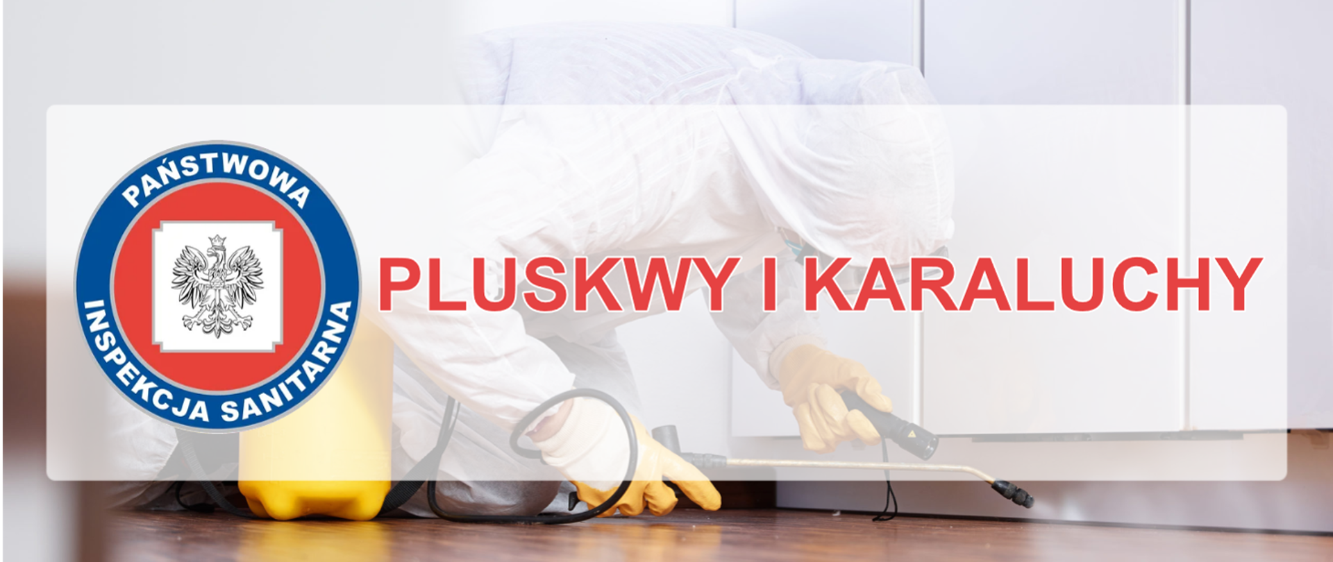 Pluskwy i karaluchy
