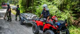 Na zdjęciu widoczni strażacy podczas rozwijania węży na piaskowej drodze leśnej po prawej stronie quad z przyczepą i na niej węże pożarnicze w oddali czerwony samochód pożarniczy.