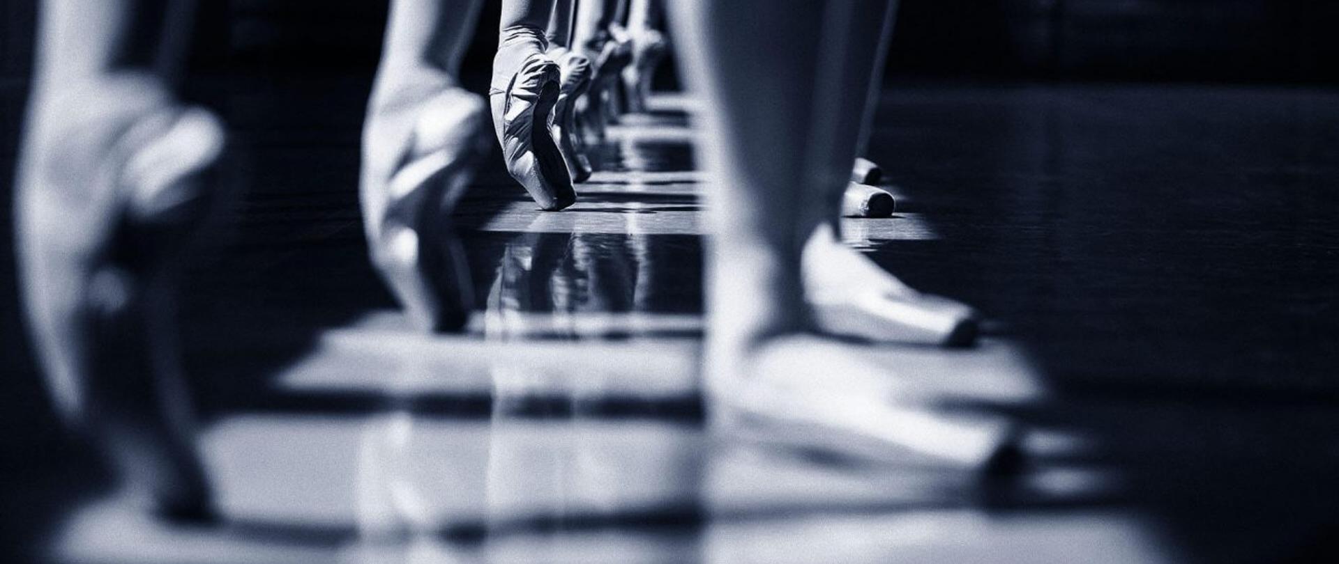 Stopy na piontach na podłodze baletowej zdjęcie w kolorze granatowym 