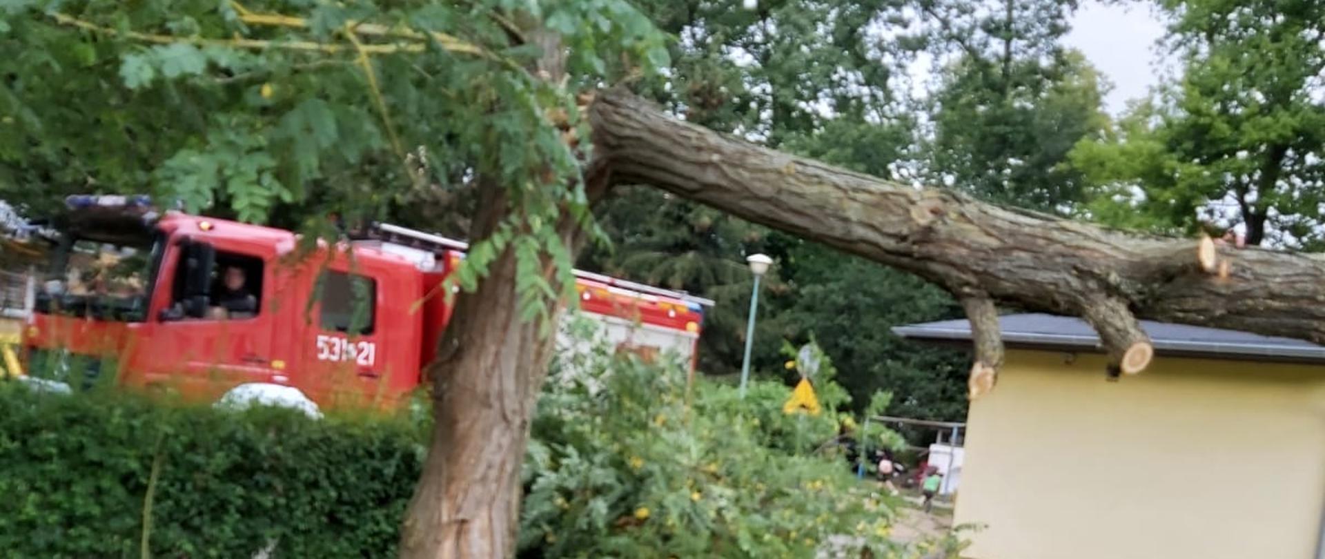 powalone drzewo, w tle samochód pożarniczy.