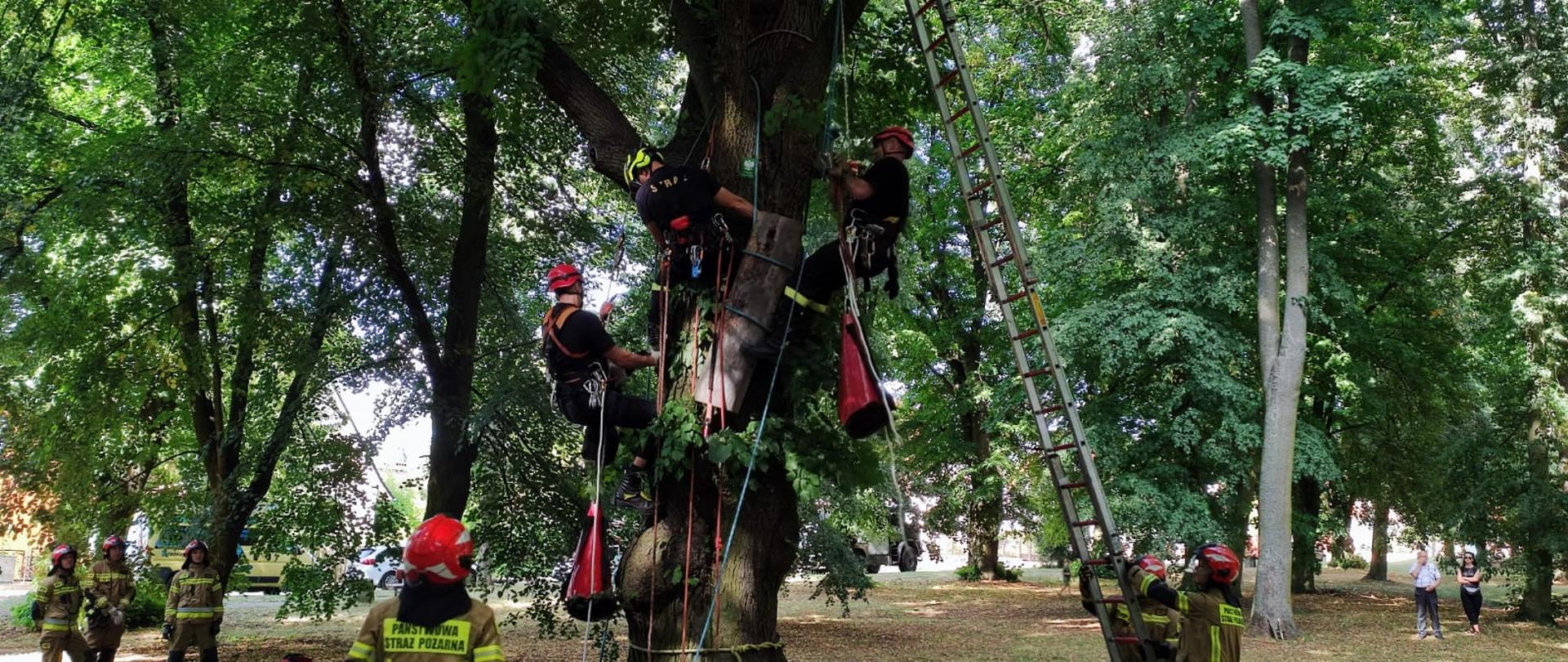 zjazd do poszkodowanego