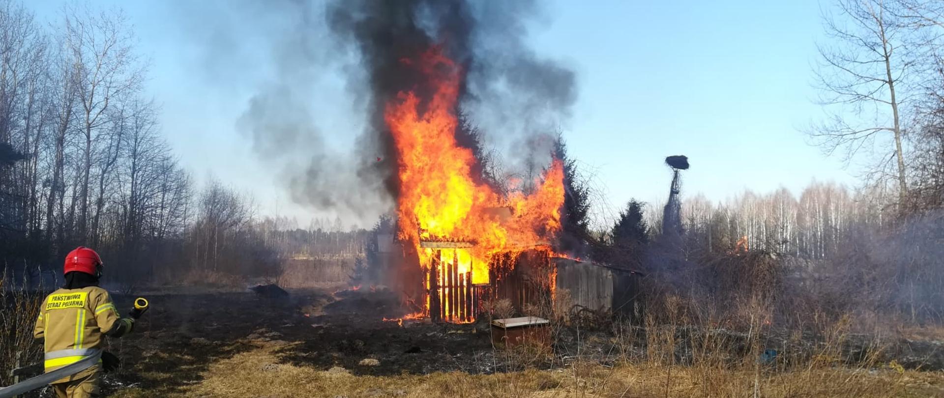 Widoczna płonąca altana, sucha trawa w koło, strażak idący z prądownicą, w koło spalona trawa