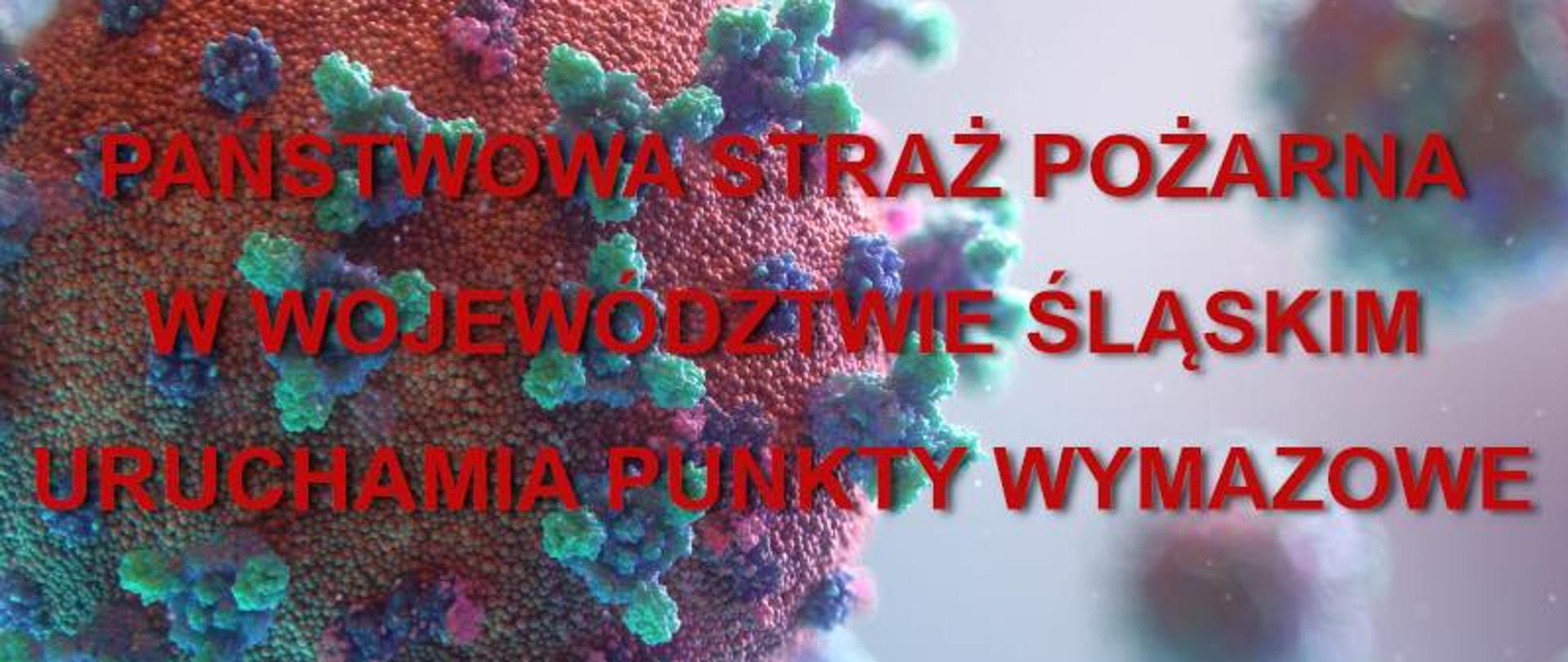 Grafika przedstawiająca widok mikroskopowy komórek koronawirusa 