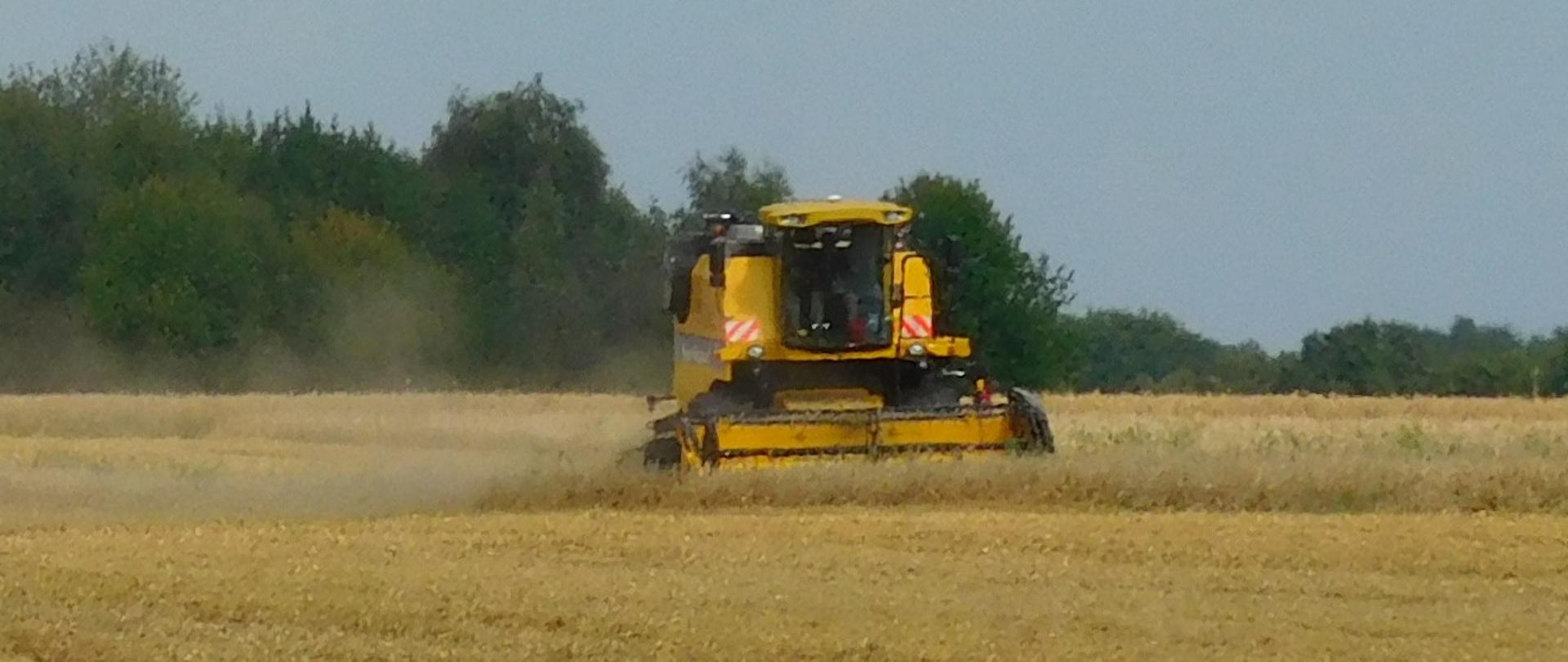 Zbiór zbóż ZSCKR w Potoczku, kombajn wyposażony w nawigację.
