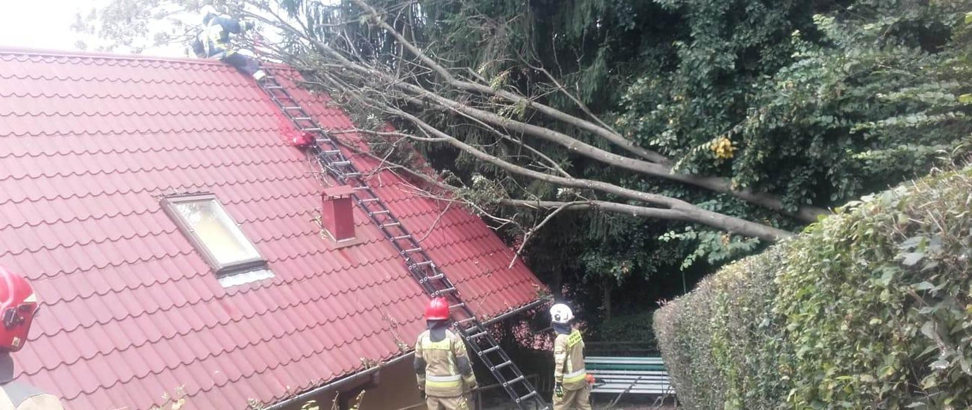 Drzewo leży na dachu a strażacy prowadzą działania.