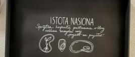 1 Istota nasiona