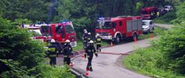 Widok z przodu. Trzy samochody gaśnicze stoją przy drodze. Wokół pojazdów strażacy w ubraniach specjalnych i hełmach. W tle widoczne kolejne pojazdy strażackie i cywilne oraz członkowie sztabu akcji. 