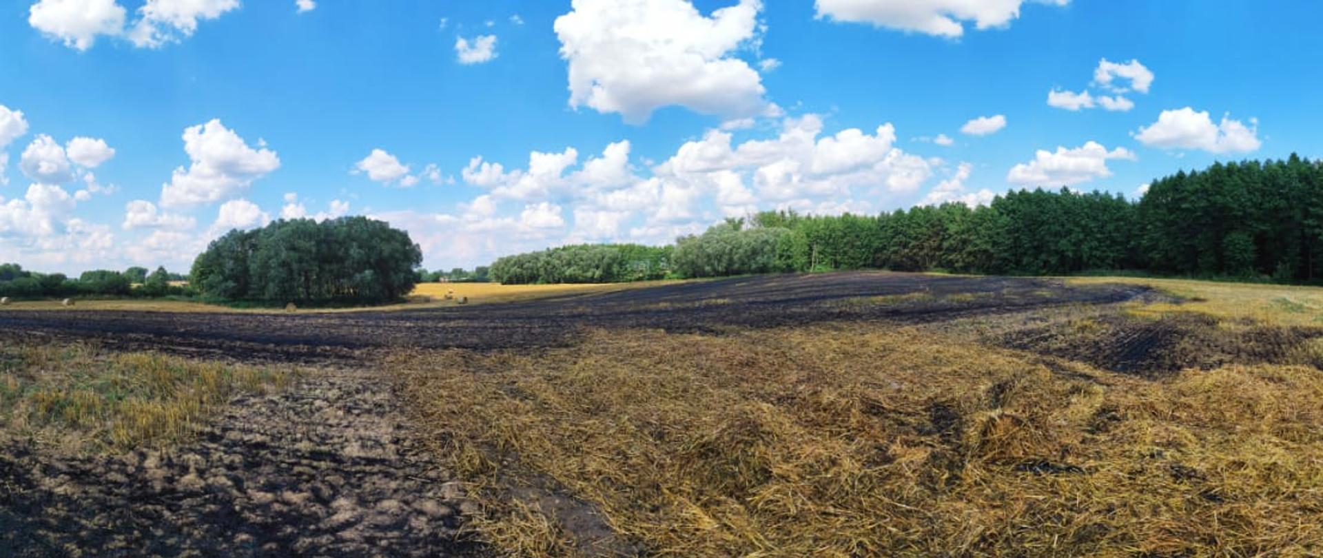 Widać spalone ściernisko