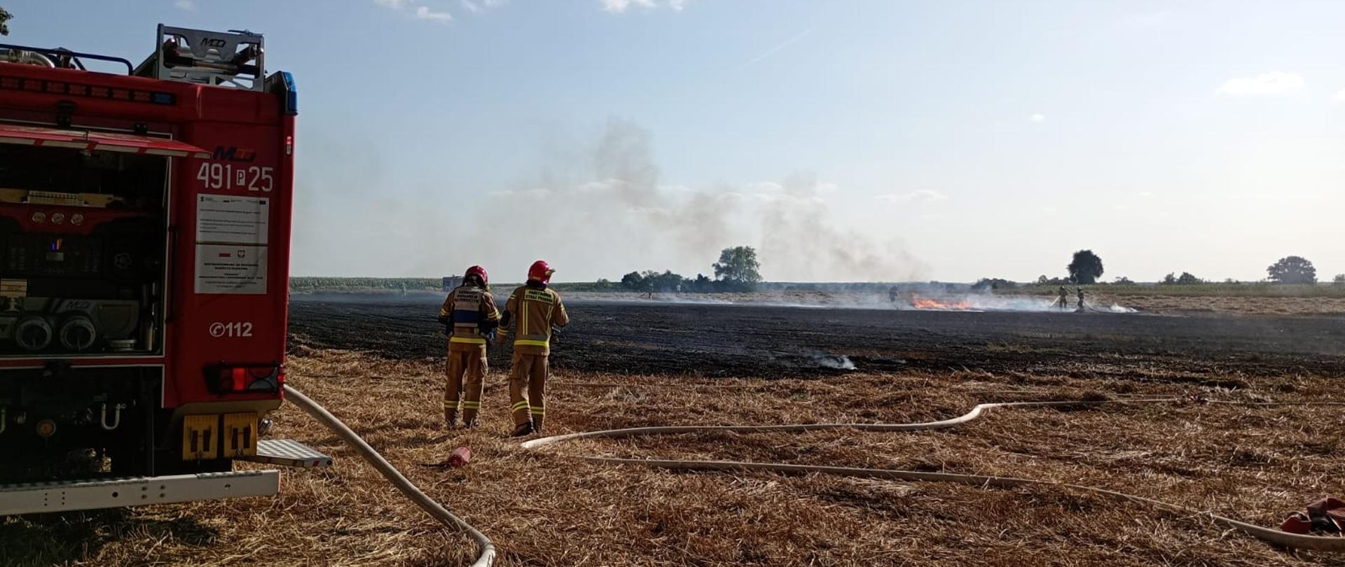 Zdjęcie przedstawia palące się pole oraz gaszących je strażaków.