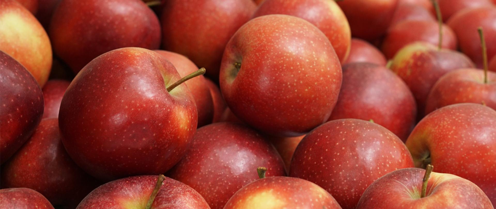Jabłka