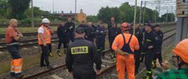 Strażacy wraz z pracownikami kolei stoją na torach podczas udzielanego instruktażu