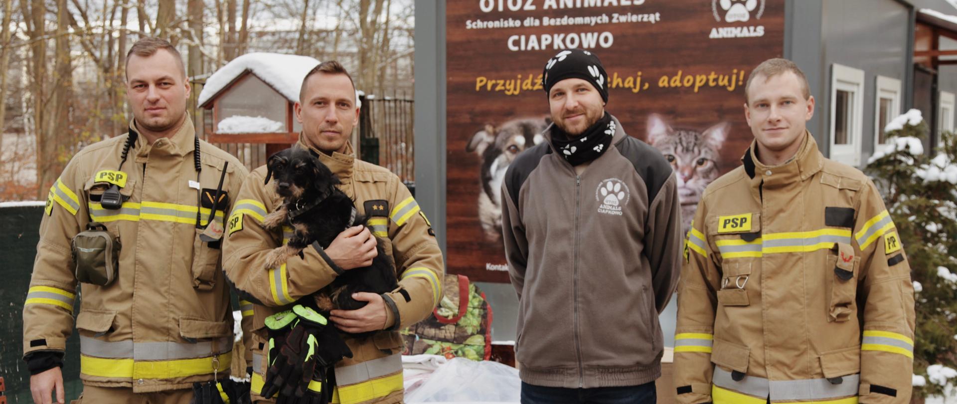 STRAŻACY POMAGAJĄ SCHRONISKU DLA BEZDOMNYCH ZWIERZĄT „CIAPKOWO” 