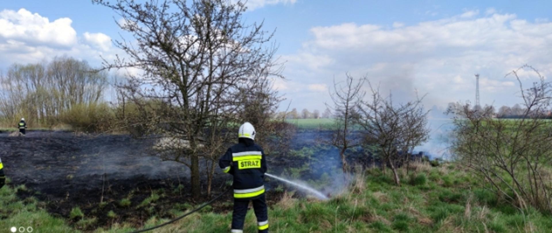 Na zdjęciu widać strażaka gaszącego pożar trawy.