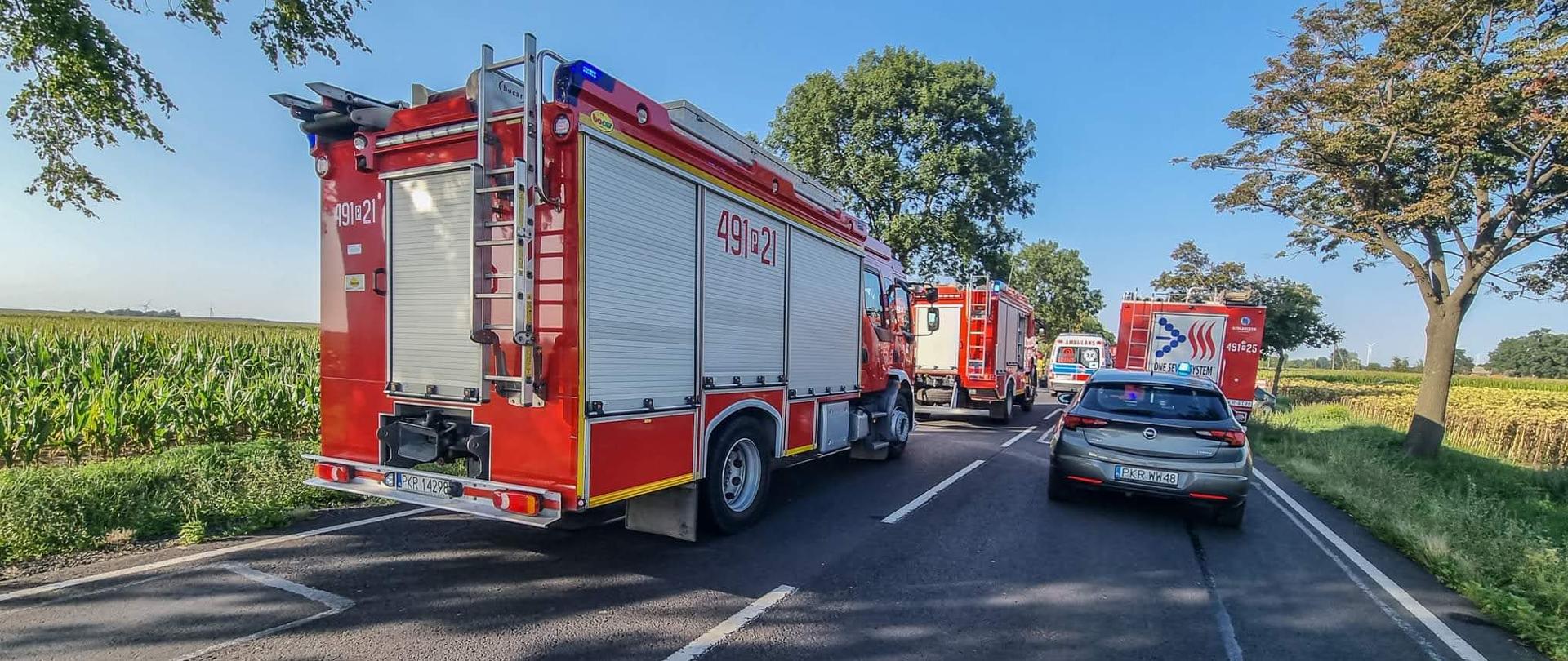 Na drodze znajdują się pojazdu Straży pożarnej, Policji oraz Zespołu Ratownictwa Medycznego. Pojazdy służb blokują całkowicie drogę. W oddali widoczne miejsce wypadku, w którym zderzyły się dwa samochody. 