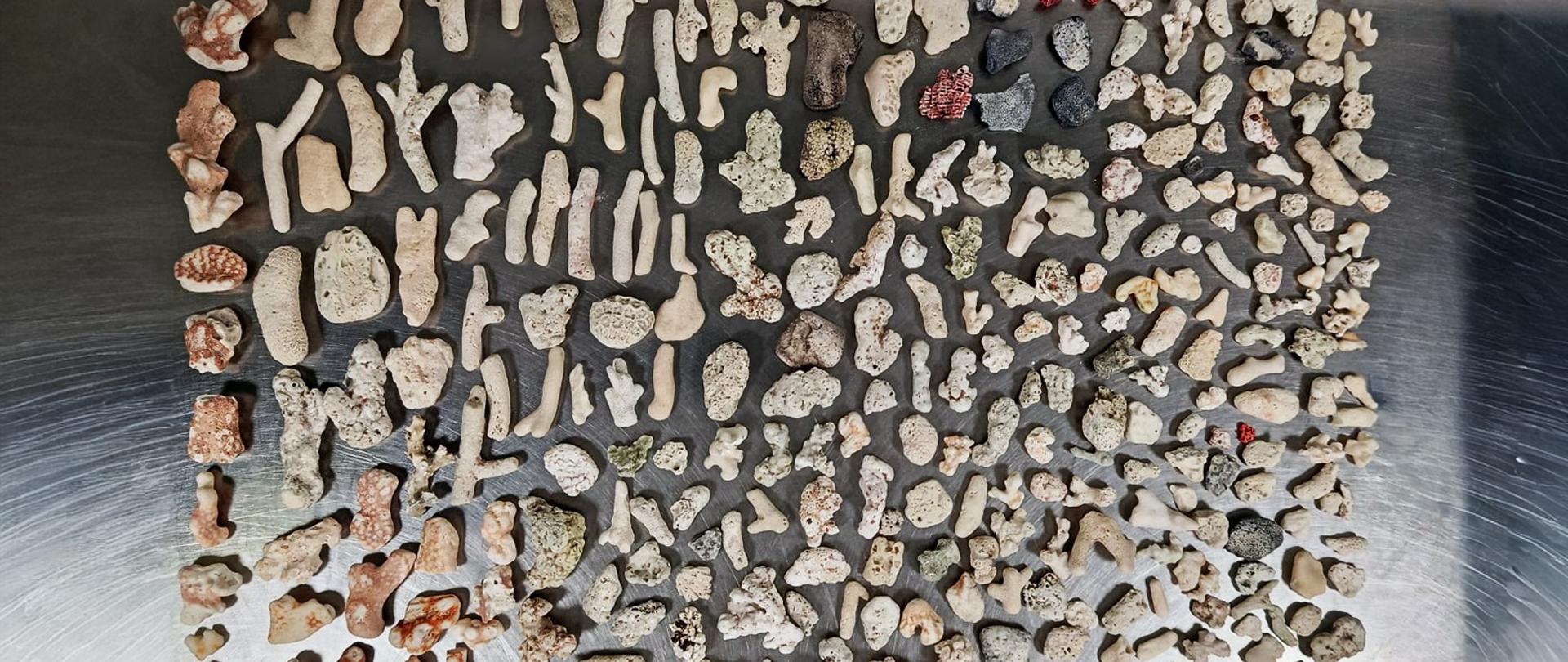 Na metalowej powierzchni równomiernie rozłożono liczne drobne fragmenty rafy koralowej o różnych kształtach i jasnych odcieniach.