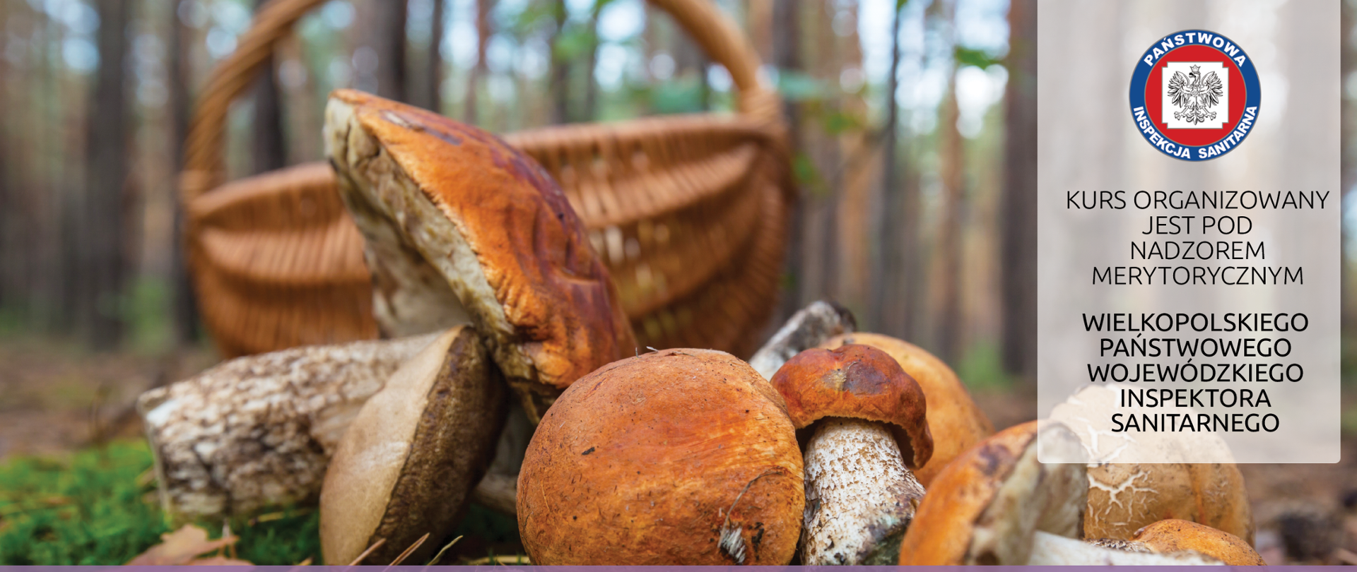 Kurs dla kandydatów na klasyfikatorów grzybów