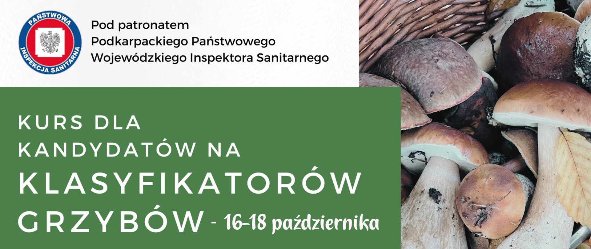 Kurs dla kandydatów na klasyfikatorów grzybów