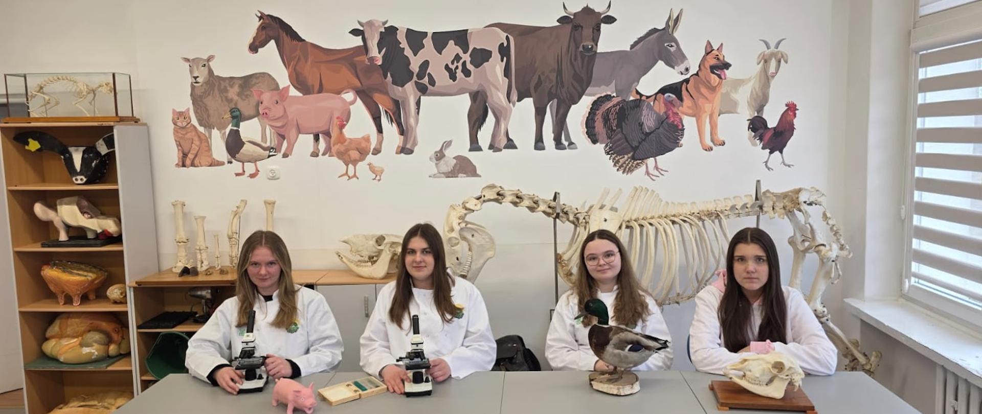 pracownia produkcji zwierzęcej 