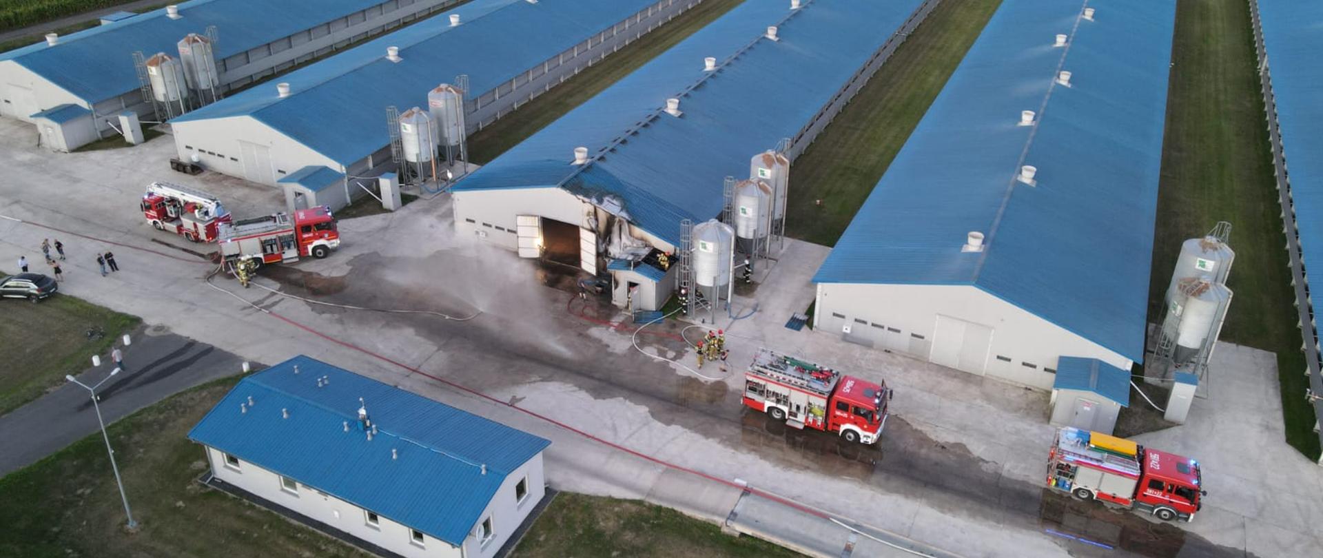 Na zdjęciu widoczne jest pięć kurników z niebieskim dachem ustawione równolegle do siebie z czego przy jednym otwarte sa drzwi po bokach z prawej i lewej strony stoją samochody strażackie przed kurnikiem z otwartymi drzwiami znajduje się inny budynek z niebieskim dachem