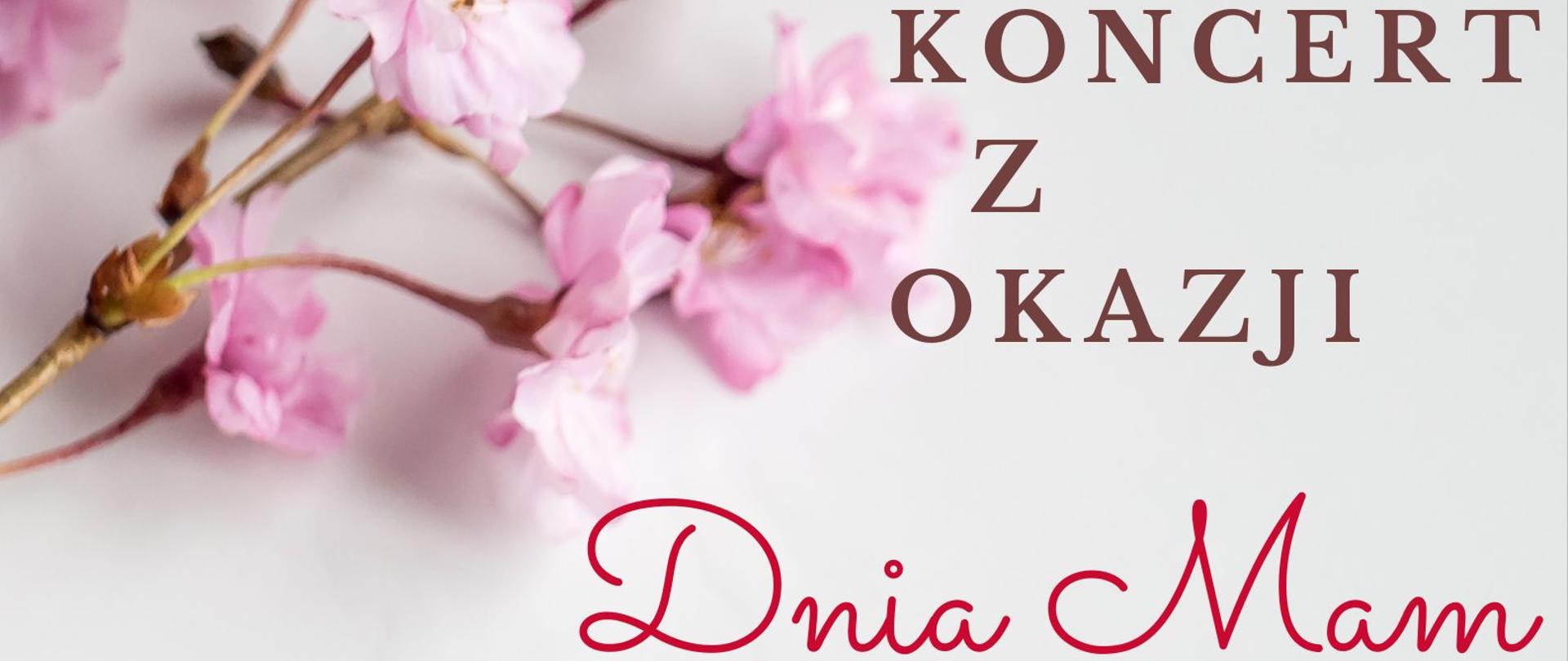 Kolorystyka plakatu biało - różowa. W lewym górnym rogu znajdują się kwiaty w odcieniach różu. Plakat informuje o koncercie z okazji Dnia Mam. Pod napisem są różowe serduszka. w prawym dolnym rogu jest data koncertu