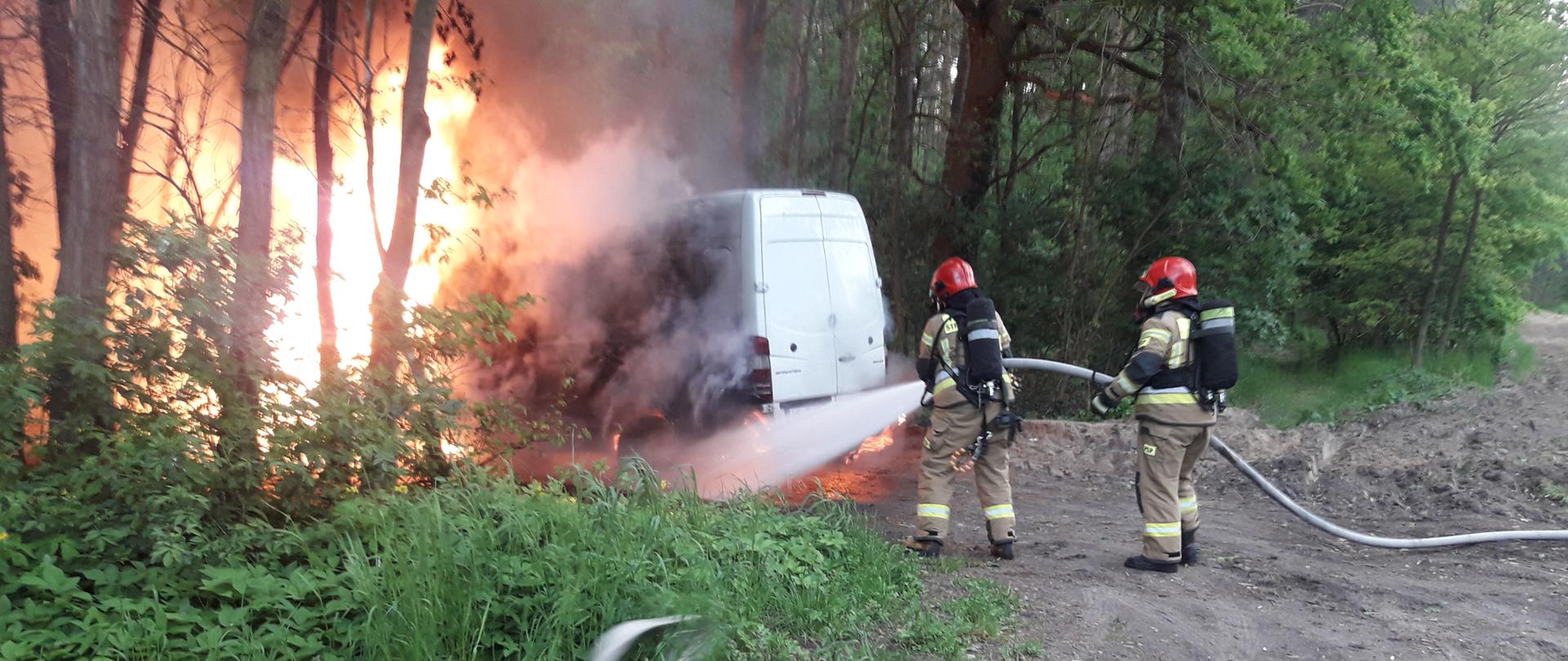 Las, strażacy, bus, ognień