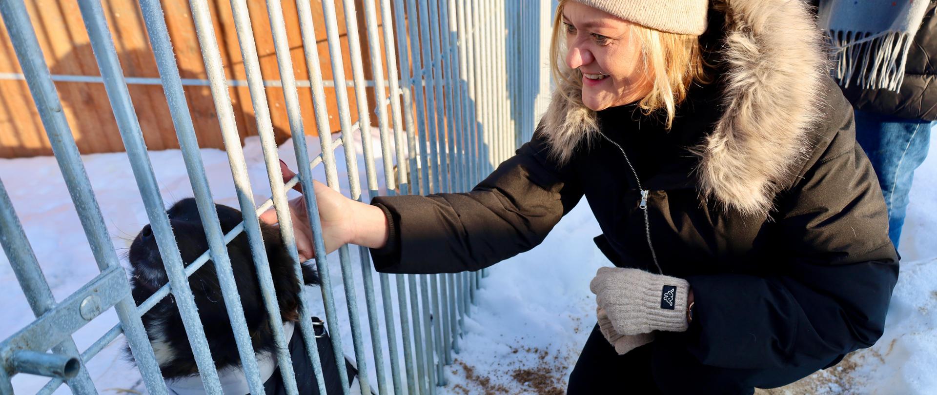 kobieta (wicewojewoda ) wita się z psem , który znajduje się w kojcu, w schronisku
