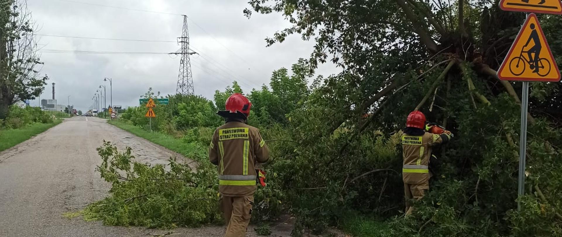 Strażacy usuwają połamane konary drzewa