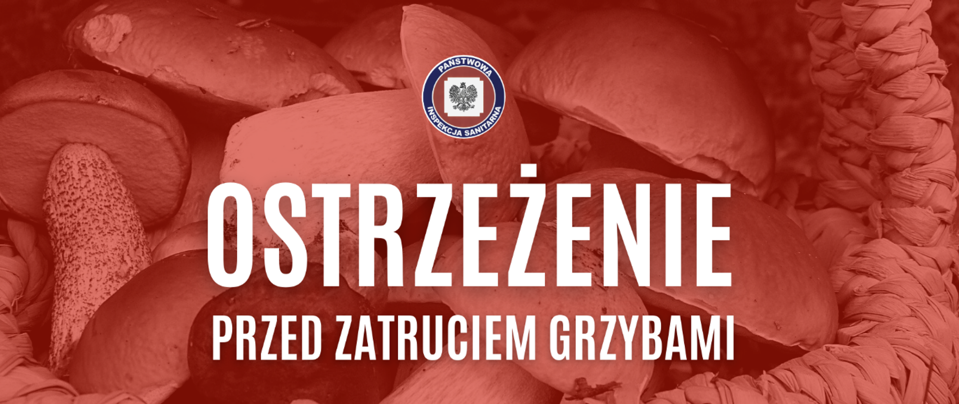 Napis Ostrzeżenie przed zatruciem grzybami, w tle widoczne grzyby