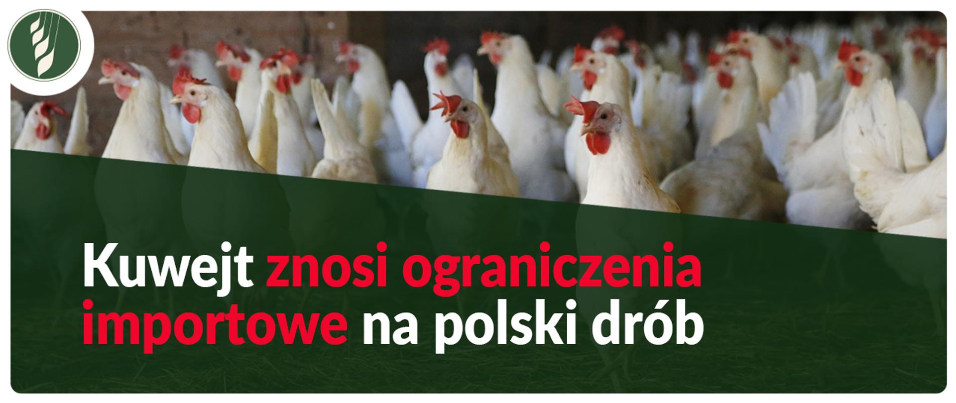 baner_Eksport drobiu do Kuwejtu