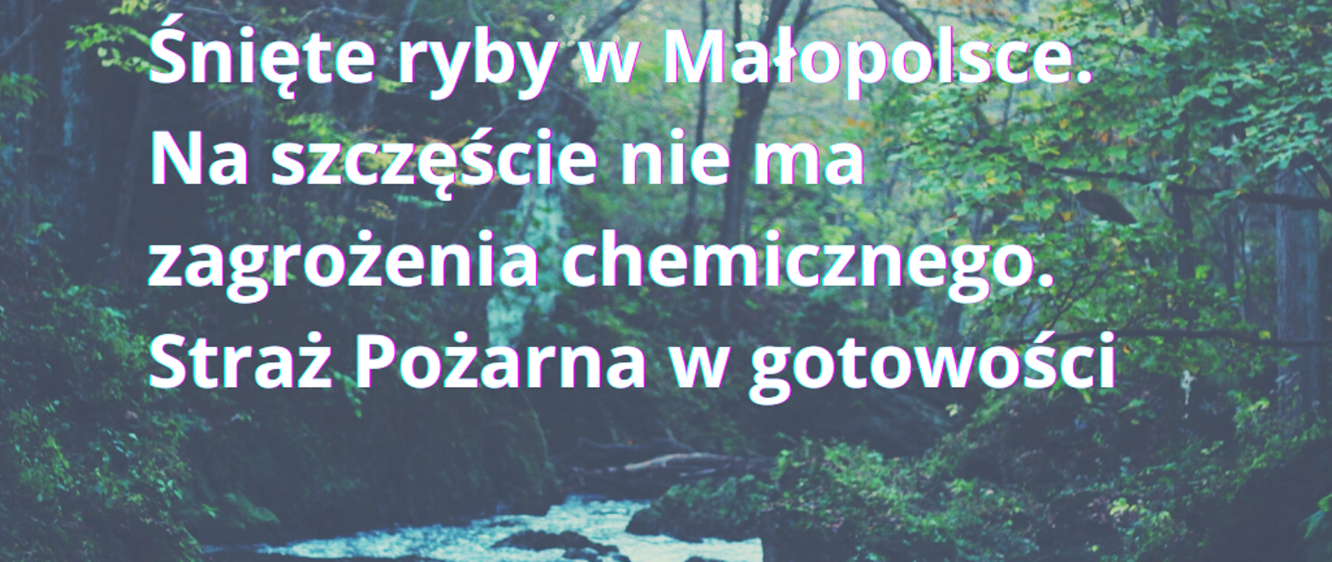 Śnięte ryby. Brak zagrożenia chemicznego