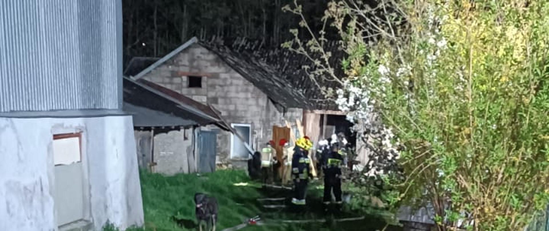 Zdjęcie przedstawia wnętrze prywatnej posesji gdzie doszło do pożaru. W głębi budynki gospodarcze w których pojawił się ogień. Przy zabudowaniach stoi grupa ratowników. Na pierwszym planie fragment budynku mieszkalnego.