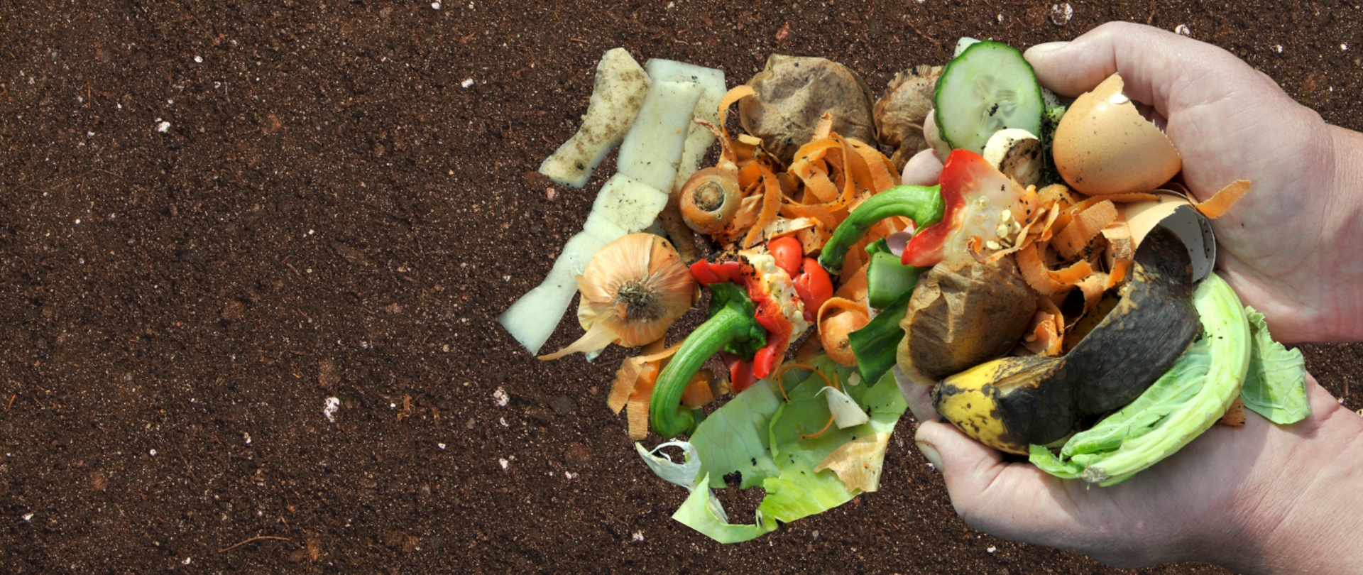 Obierki warzyw przeznaczone na kompost